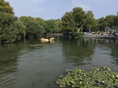 -知味观(湖滨店)