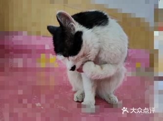 有幸捕捉到供各位看官一吸