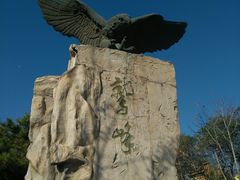 -北京鹫峰国家森林公园