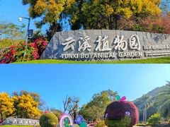 -云溪植物园