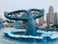 -海合安成都极地海洋公园
