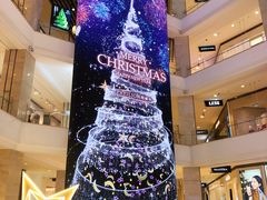 -听说碳烧蛙(高新万达店)