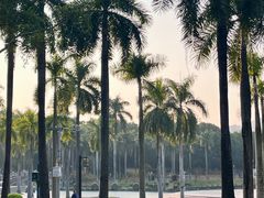 -南宁南湖公园