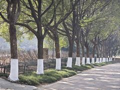 -幕燕滨江·长江观音景区