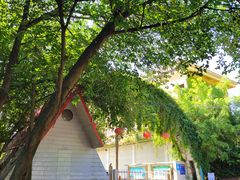 -南宁良凤江国家森林公园