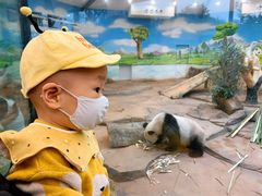 -二一九公园
