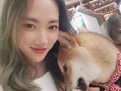 -more than meow吴止猫主题餐厅(承德 中船汇店)