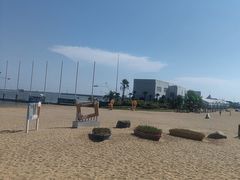 -碧海金沙