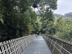 -福道