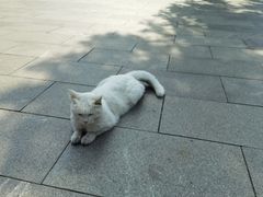 -北京鲁迅博物馆(北京新文化运动纪念馆鲁博馆区)