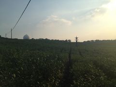 -方山风景区定林寺
