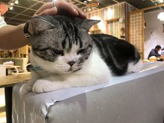 -小时光咖啡馆(开森度假森林店)