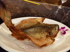 -金春禧(北国商城店)