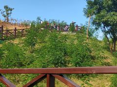 -威海华夏城景区