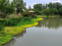 -桤木河湿地公园