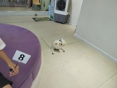 -怪兽屋·羊驼·猫咖·狗咖(俊华广场店)