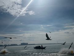 -滇池海埂公园