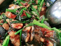 生焗钳鱼煲-大唐靓汤江门私房菜(景田店)
