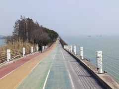 -贡湖湾湿地公园
