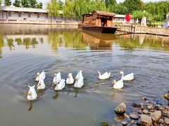 -河北村民俗体验园