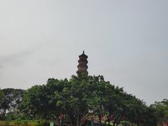 -广州莲花山旅游区