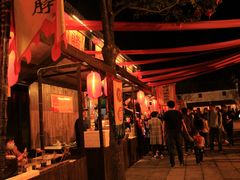 -横店影视城梦幻谷园区