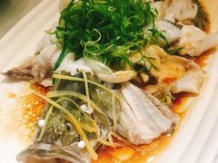 鲈鱼-朱仔记食府(江南大道店)