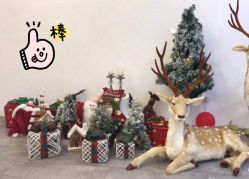 -雅尼·亚米儿童摄影美学馆(汉阳店)