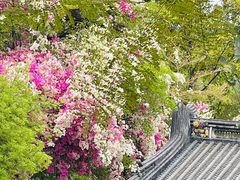 -深圳国际园林花卉博览园