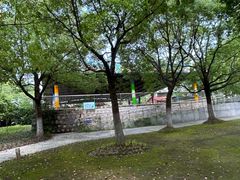 -吴淞炮台湾湿地森林公园烧烤区