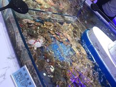-澜悦港海鲜体验主题餐厅