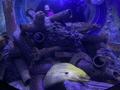 -成都浩海立方海洋公园