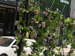-茶好韻·台湾手作奶茶