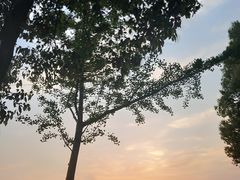 -苏州工学院(东南校区)