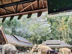 -野象谷景区