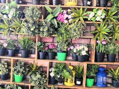 -巴壁馆(海棠花语店)