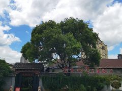 -柴米油盐(土菜院子店)