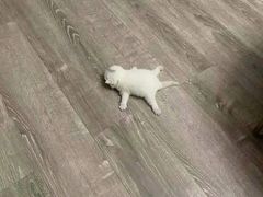 -爱康国宾体检中心(杭州滨江江南大道分院)