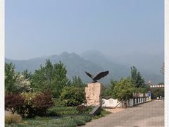 -北京鹫峰国家森林公园