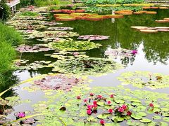 -国家植物园南园