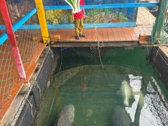 -蓝湾碧波·老字号·疍家非遗海上餐厅