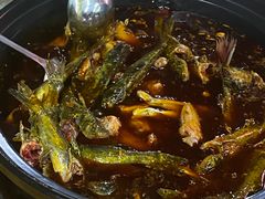 -金海椒罐罐鲢鱼(东方桂苑店)