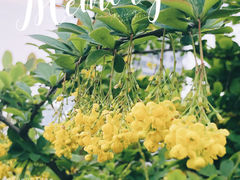 -陕西省西安植物园