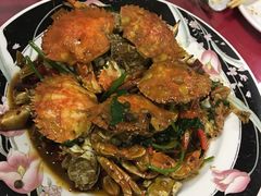 -小叶大馅饺子城