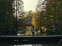 -云溪植物园