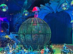 -海合安武汉极地海洋公园