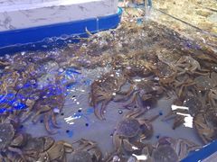-澜悦港海鲜体验主题餐厅