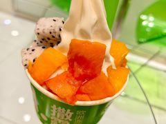 -Salud撒露欧洲冻酸奶(蓝色港湾店)