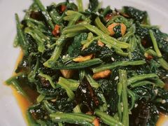 -巴依老爷新疆美食(望京小街店)