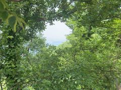 -头陀岭景区